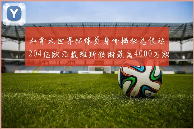加拿大世界杯球员身价揭秘总值达204亿欧元戴维斯领衔最高4000万欧